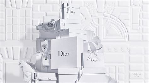 dior online boutique usa|diorwebsite.